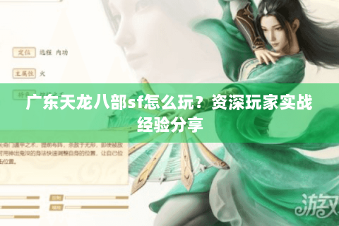 广东天龙八部sf怎么玩？资深玩家实战经验分享