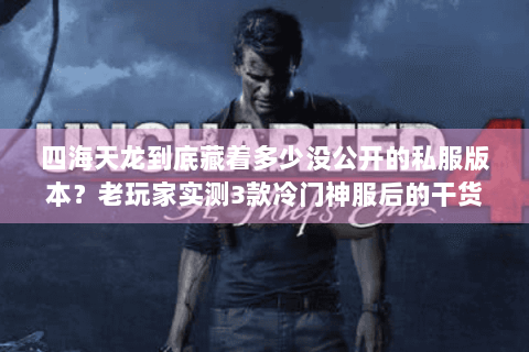 四海天龙到底藏着多少没公开的私服版本？老玩家实测3款冷门神服后的干货总结