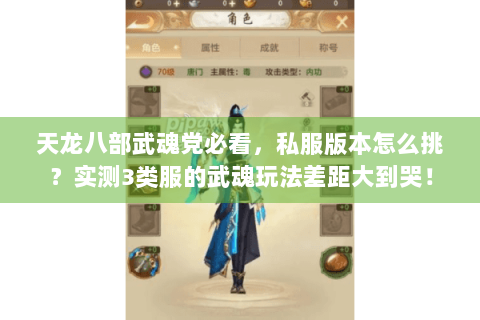 天龙八部武魂党必看，私服版本怎么挑？实测3类服的武魂玩法差距大到哭！