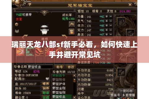 瑞丽天龙八部sf新手必看,如何快速上手并避开常见坑 瑞丽天龙八部sf新手必看,如何快速上手并避开常见坑