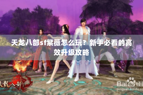 天龙八部sf紫薇怎么玩？新手必看的高效升级攻略