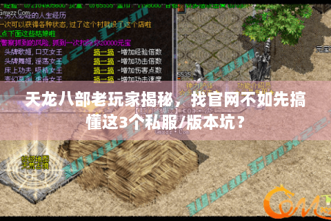 天龙八部老玩家揭秘，找官网不如先搞懂这3个私服/版本坑？