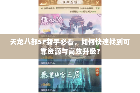 天龙八部SF新手必看，如何快速找到可靠资源与高效升级？