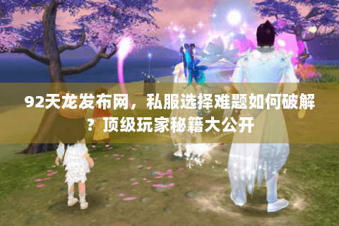 92天龙发布网，私服选择难题如何破解？顶级玩家秘籍大公开