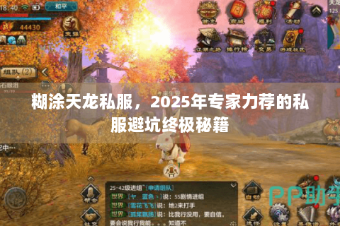 糊涂天龙私服，2025年专家力荐的私服避坑终极秘籍
