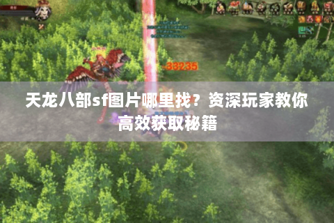 天龙八部sf图片哪里找？资深玩家教你高效获取秘籍