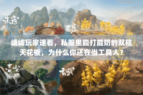 峨嵋玩家速看,私服里能打能奶的双核天花板,为什么你还在当工具人? 峨嵋玩家速看,私服里能打能奶的双核天花板,为什么你还在当工具人?