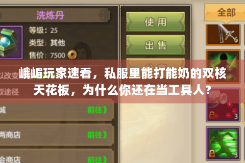 峨嵋玩家速看,私服里能打能奶的双核天花板,为什么你还在当工具人? 峨嵋玩家速看,私服里能打能奶的双核天花板,为什么你还在当工具人?