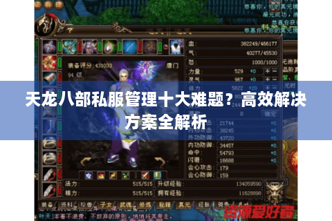 天龙八部私服管理十大难题?高效解决方案全解析 天龙八部私服管理十大难题?高效解决方案全解析