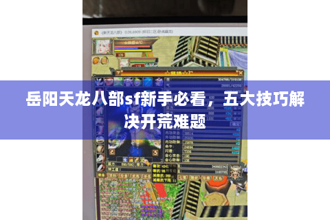 岳阳天龙八部sf新手必看,五大技巧解决开荒难题 岳阳天龙八部sf新手必看,五大技巧解决开荒难题
