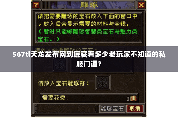 567tl天龙发布网到底藏着多少老玩家不知道的私服门道？