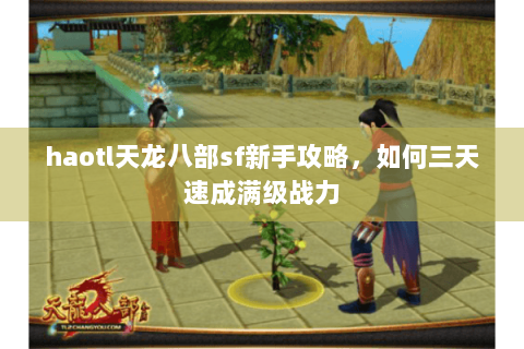 haotl天龙八部sf新手攻略，如何三天速成满级战力