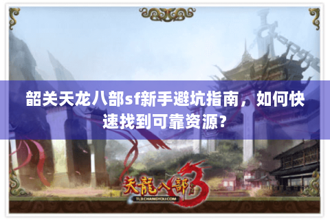 韶关天龙八部sf新手避坑指南，如何快速找到可靠资源？