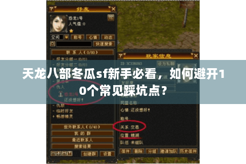天龙八部冬瓜sf新手必看，如何避开10个常见踩坑点？