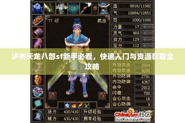 泸州天龙八部sf新手必看，快速入门与资源获取全攻略
