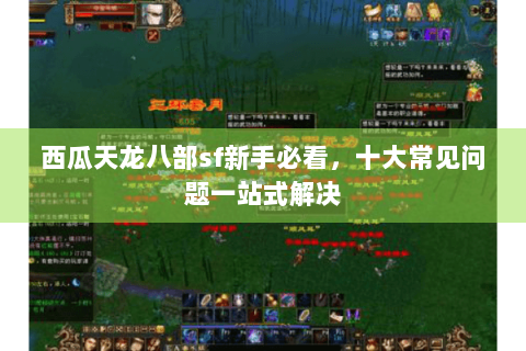 西瓜天龙八部sf新手必看，十大常见问题一站式解决