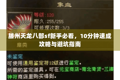 滕州天龙八部sf新手必看,10分钟速成攻略与避坑指南 滕州天龙八部sf新手必看,10分钟速成攻略与避坑指南