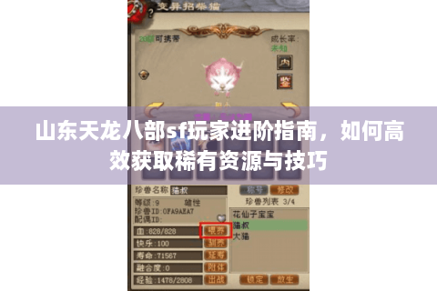 山东天龙八部sf玩家进阶指南，如何高效获取稀有资源与技巧