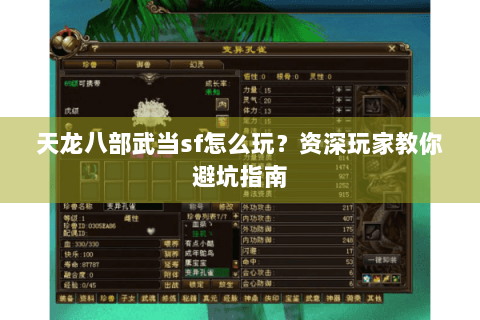 天龙八部武当sf怎么玩?资深玩家教你避坑指南 天龙八部武当sf怎么玩?资深玩家教你避坑指南