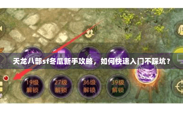 天龙八部sf冬瓜新手攻略，如何快速入门不踩坑？