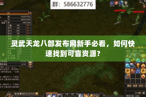 灵武天龙八部发布网新手必看，如何快速找到可靠资源？