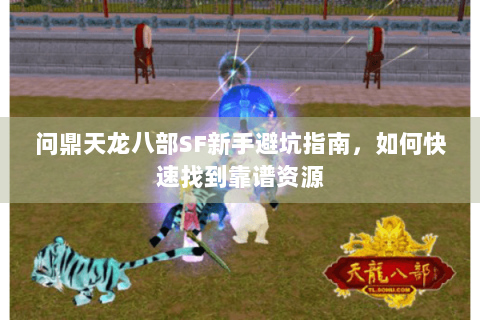问鼎天龙八部SF新手避坑指南，如何快速找到靠谱资源