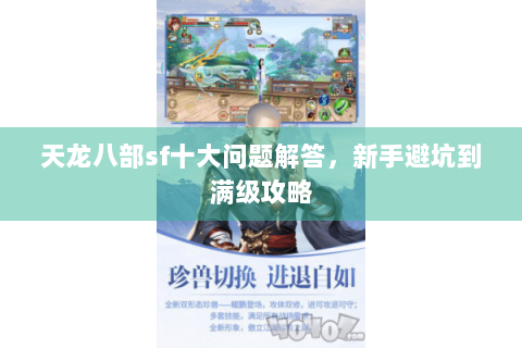 天龙八部sf十大问题解答，新手避坑到满级攻略