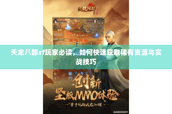 天龙八部sf玩家必读，如何快速获取稀有资源与实战技巧