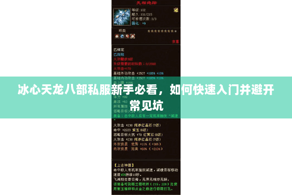 冰心天龙八部私服新手必看,如何快速入门并避开常见坑 冰心天龙八部私服新手必看,如何快速入门并避开常见坑