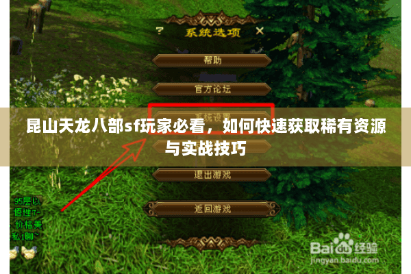 昆山天龙八部sf玩家必看,如何快速获取稀有资源与实战技巧 昆山天龙八部sf玩家必看,如何快速获取稀有资源与实战技巧