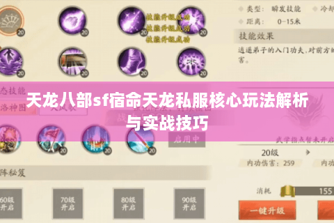 天龙八部sf宿命天龙私服核心玩法解析与实战技巧 天龙八部sf宿命天龙私服核心玩法解析与实战技巧