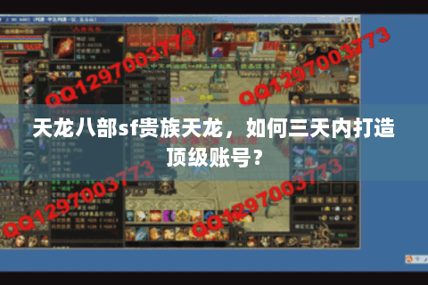 天龙八部sf贵族天龙，如何三天内打造顶级账号？