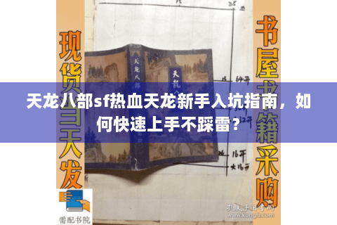 天龙八部sf热血天龙新手入坑指南,如何快速上手不踩雷? 天龙八部sf热血天龙新手入坑指南,如何快速上手不踩雷?