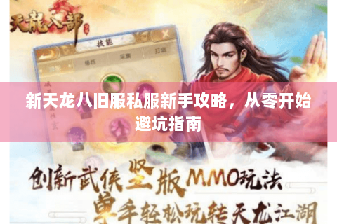 新天龙八旧服私服新手攻略，从零开始避坑指南