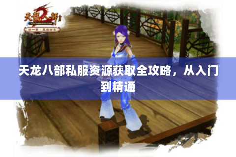 天龙八部私服资源获取全攻略,从入门到精通 天龙八部私服资源获取全攻略,从入门到精通