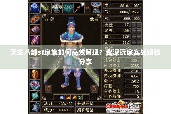 天龙八部sf家族如何高效管理？资深玩家实战经验分享