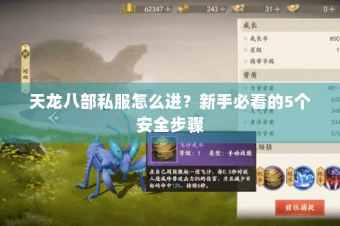 天龙八部私服怎么进?新手必看的5个安全步骤 天龙八部私服怎么进?新手必看的5个安全步骤