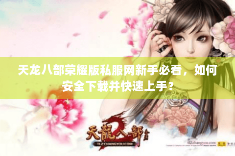 天龙八部荣耀版私服网新手必看，如何安全下载并快速上手？
