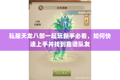 私服天龙八部一起玩新手必看,如何快速上手并找到靠谱队友 私服天龙八部一起玩新手必看,如何快速上手并找到靠谱队友
