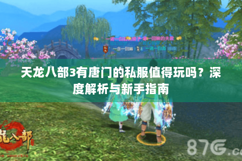 天龙八部3有唐门的私服值得玩吗？深度解析与新手指南