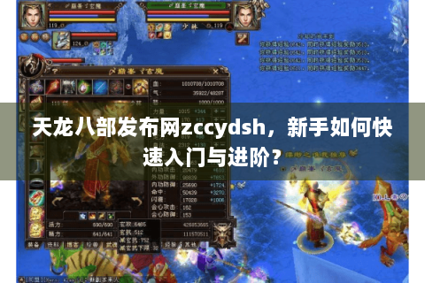 天龙八部发布网zccydsh，新手如何快速入门与进阶？