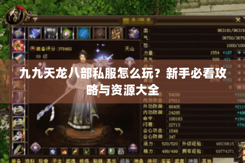 九九天龙八部私服怎么玩?新手必看攻略与资源大全 九九天龙八部私服怎么玩?新手必看攻略与资源大全