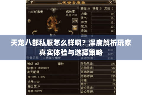 天龙八部私服怎么样啊?深度解析玩家真实体验与选择策略 天龙八部私服怎么样啊?深度解析玩家真实体验与选择策略