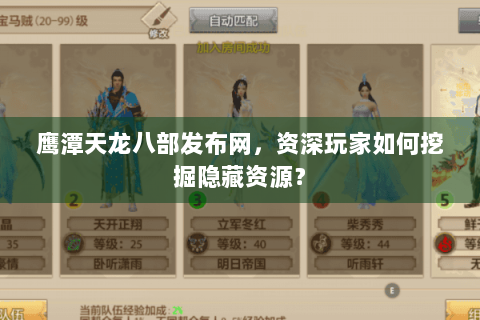 鹰潭天龙八部发布网，资深玩家如何挖掘隐藏资源？
