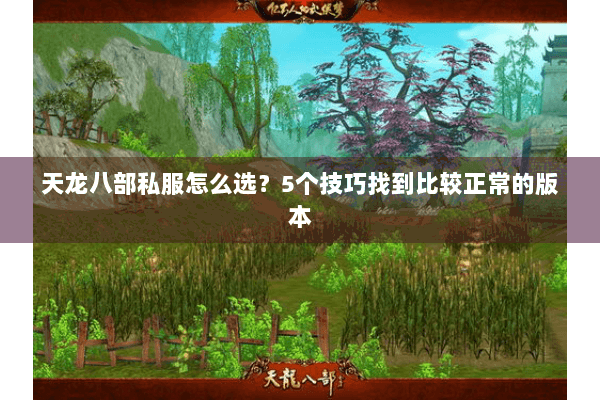 天龙八部私服怎么选？5个技巧找到比较正常的版本