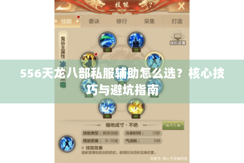556天龙八部私服辅助怎么选？核心技巧与避坑指南