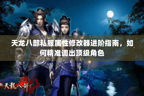 天龙八部私服属性修改器进阶指南，如何精准调出顶级角色