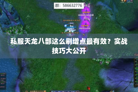 私服天龙八部这么刷增点最有效?实战技巧大公开 私服天龙八部这么刷增点最有效?实战技巧大公开