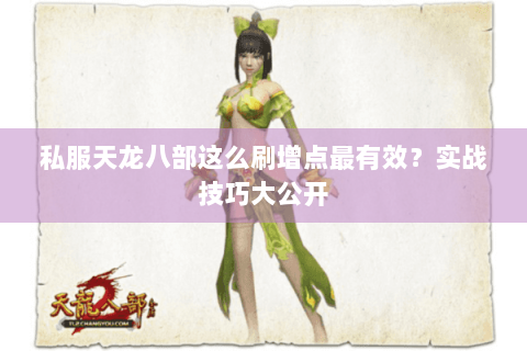 私服天龙八部这么刷增点最有效?实战技巧大公开 私服天龙八部这么刷增点最有效?实战技巧大公开