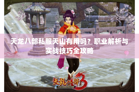 天龙八部私服天山有用吗？职业解析与实战技巧全攻略